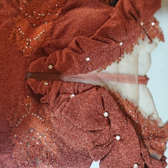 Bee Queen by Reseda Maxi Event Embellished Fall Orange Sz 12/XL/44 Dress Costume - Picture 9 of 9